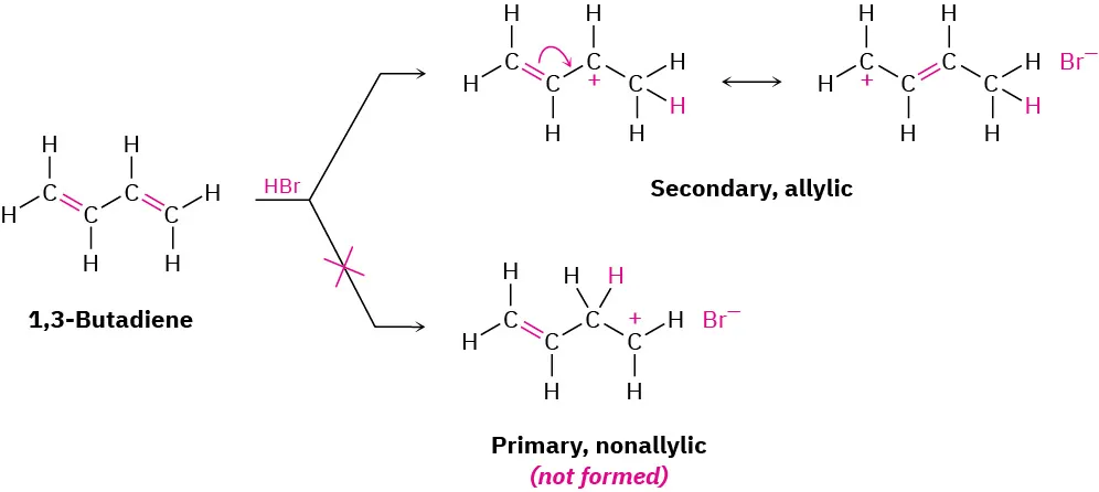 A reaction shows 1,3-butadiene reacting with hydrogen bromide to yield two resonance structures of secondary, allylic carbocations. Primary, nonallylic carbocation is not formed.