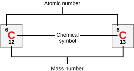Carbon is indicated by its atomic symbol, a capital C. Carbon has the atomic number six and two stable isotopes, carbon-12 and carbon-13.
