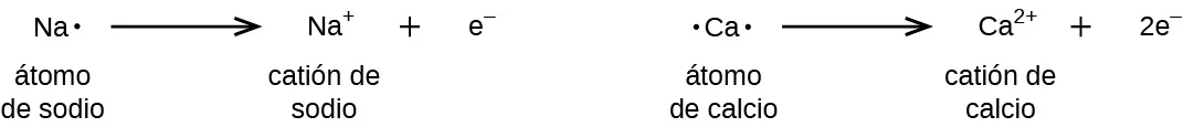 Se muestran dos diagramas. El diagrama de la izquierda muestra una estructura de puntos de Lewis del sodio con un punto, luego una flecha hacia la derecha que señala el símbolo de sodio con un signo positivo en superíndice, un signo positivo y la letra "e" con un signo negativo en superíndice. Los términos debajo de este diagrama dicen "Átomo de sodio" y "Catión de sodio". El diagrama de la derecha muestra una estructura de puntos de Lewis del calcio con dos puntos, luego una flecha hacia la derecha que señala el símbolo de calcio con un dos en superíndice y un signo positivo, un signo positivo y el valor "2e" con un signo negativo en superíndice. Los términos debajo de este diagrama dicen "Átomo de calcio" y "Catión de calcio".