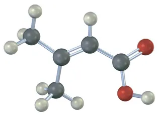 A ball-and-stick model of a four-carbon chain with a carboxyl end. There is a double bond on C 2 and a methyl on C 3.