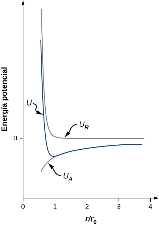Gráfica de la energía potencial en función de r mediante r subíndice 0. Hay tres curvas en el gráfico. Una curva marcada U subíndice R desciende en una línea casi vertical hasta un valor de la y de 0 y un valor de la x de aproximadamente 1. Aquí, gira y se extiende en una línea horizontal hacia la derecha. Una curva marcada como U desciende de forma similar hasta alcanzar un valor y inferior a cero. A partir de aquí, sube ligeramente y se equilibra hasta un valor y inferior a cero. La tercera curva, marcada como U subíndice A, se encuentra a lo largo de la segunda rama de la curva U. Se separa de U en un valor de la x de aproximadamente 1, que es el punto más bajo de la curva U. A partir de aquí, UA va hacia abajo y hacia la derecha.