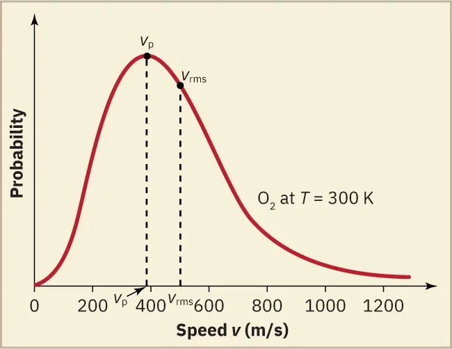 A line graph of probability versus velocity in meters per second of oxygen gas at 300 kelvin. The graph is skewed to the right, with a peak probability just under 400 meters per second and a root-mean-square probability of about 500 meters per second.