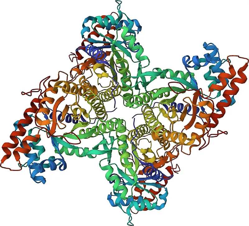 A ribbon diagram of a protein comprising multiple regions in various colors.