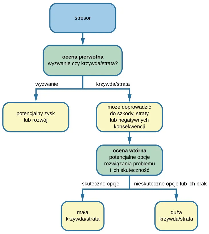 Rysunek przedstawia schemat oceny stresora. U góry widnieje ramka z napisem "stresor", od której biegnie w dół strzałka do pola z tekstem "ocena pierwotna - wyzwanie czy zagrożenie?". Od tej ramki odchodzą dwie strzałki w różnych kierunkach. Strzałka z lewej strony, z podpisem "wyzwanie", prowadzi tylko do ramki z napisem "potencjalny zysk lub rozwój". Strzałka z prawej strony, podpisana jako "zagrożenie", wiedzie do ramki ze zdaniem "może doprowadzić do szkody, straty lub negatywnych konsekwencji". Z tego miejsca w dół biegnie strzałka prowadząca do pola z tekstem "ocena wtórna - potencjalne opcje i ich skuteczność". Stąd zaś, w przeciwnych kierunkach, wychodzą ostatnie dwie strzałki. Strzałka z lewej podpisana jest słowami "skuteczne opcje" i wiedzie do ramki z tekstem "małe zagrożenie", zaś prawa strzałka, nazwana "nieskuteczne opcje lub ich brak", biegnie do ramki z napisem "duże zagrożenie". 