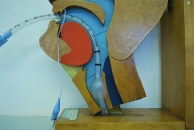 An image of a wood figure simulating a human showing the endotracheal tube being inserted on the mouth and reaching the throat.