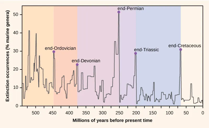 The chart shows percent extinction intensity of eliminated marine genera versus time in millions of years before present. Extinction intensity spikes at boundaries between periods, including the end of the Ordovician which had 30 percent extinction occurrences of marine genera approximately 450 million years ago. The late Devonian had approximately 25 percent extinction occurrences of marine genera at roughly 375 million years ago. The end of the Permian had 50 percent extinction occurrences of marine genera approximately 250 million years ago. The end of the Triassic had roughly 30 percent extinction occurrences of marine genera 200 million years ago. And the end of the Cretaceous periods had over 30 percent extinction occurrences of marine genera roughly 70 million years ago.