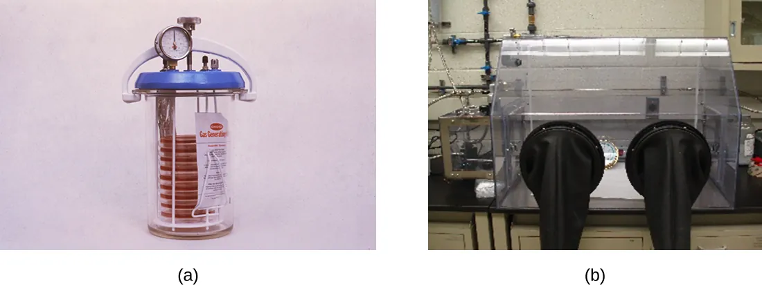 Anaerobic jars. Description below.