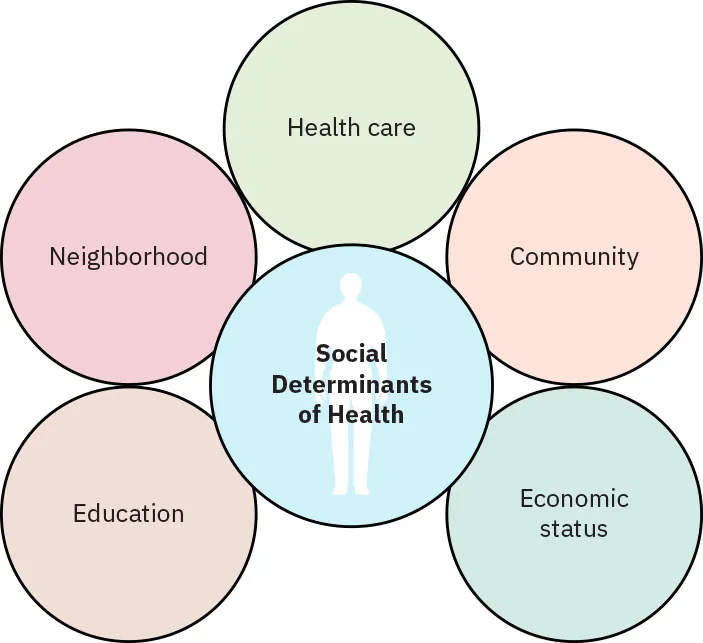Illustration of what social components influence a person's health: education, economic status, community, neighborhood, and health care.