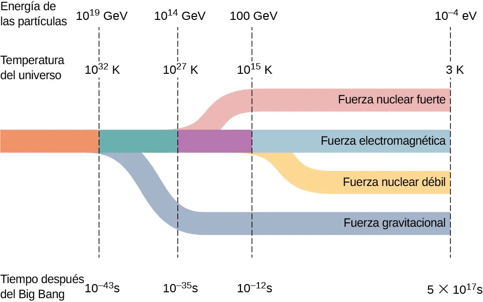 La figura muestra una línea de tiempo. A 10 a la potencia de menos 43 segundos después del Big Bang, la línea se divide en dos. Una de las ramas es la fuerza gravitacional. La otra se adelanta y se divide en dos más a 10 a la potencia de menos 35 segundos. A partir de aquí, una rama es la fuerza nuclear fuerte. La otra se divide en dos a 10 a la potencia de menos 12 segundos. Las dos ramas se denominan fuerza electromagnética y fuerza nuclear débil. La energía de las partículas y la temperatura del universo en el momento de la primera división son: 10 a la potencia de 19 GeV y 10 a la potencia de 32 K respectivamente. En la segunda división, son: 10 a la potencia de 14 GeV y 10 a la potencia de 27 K respectivamente. En la tercera división, son 100 GeV y 10 a la potencia de 15 K respectivamente. Las cuatro líneas continúan hasta alcanzar los valores: 5 por 10 a la potencia de 17 segundos, 10 a la potencia de menos 4 eV y 3 K.