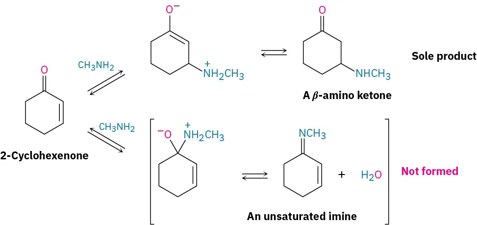 2-Cyclohexenone undergoes reversible reactions with methylamine to form beta-amino ketone (sole product). A second pathway shows intermediate ion leading to an unsaturated imine that is not formed.