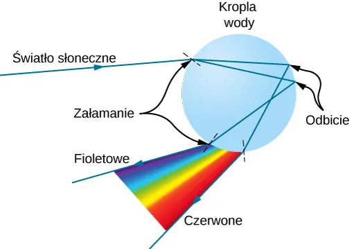 Światło słoneczne padające na kulistą kroplę wody zostaje załamane pod różnymi kątami. Promienie załamane ulegają następnie całkowitemu wewnętrznemu odbiciu i ponownemu załamaniu przy wyjściu z kropli. W rezultacie, światło opuszczające krople tworzy sekwencję barw od fioletu do czerwieni. Światło wychodzi z kropli w tym samym kierunku, z którego do niej dotarło.