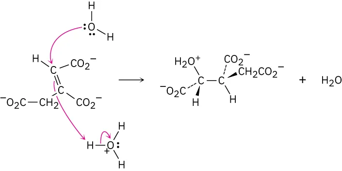 A reaction shows water, alkene, and hydronium ion reacting to form a product.