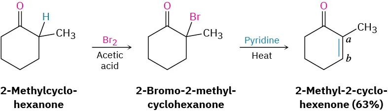 2-methyl cyclohexanone reacts with bromine in acetic acid to form 2-bromo-2-methyl-cyclohexanone, which when heated reacts with pyridine to form 2-methyl-2-cyclohexenone in 63 percent yield.
