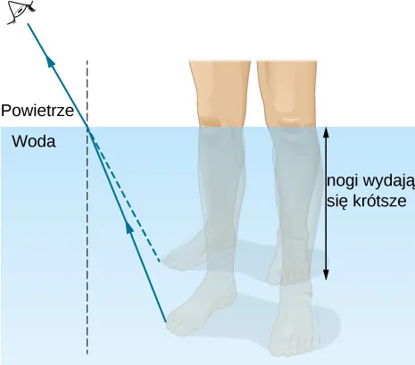 Rysunek ilustruje powstawanie obrazu nóg zanurzonych w wodzie, widzianych przez obserwatora znajdującego się w powietrzu nad powierzchnią wody. Promień światła wychodzący z nogi załamuje się na granicy między wodą a powietrzem. Promień załamany odchyla się od normalnej. Jeśli przedłużymy promień załamany pod powierzchnię wody, znajdzie się on wyżej niż promień faktyczny. W rezultacie, obraz zanurzonej nogi znajduje się wyżej niż noga, co sprawia, że noga wydaje się krótsza niż w rzeczywistości.