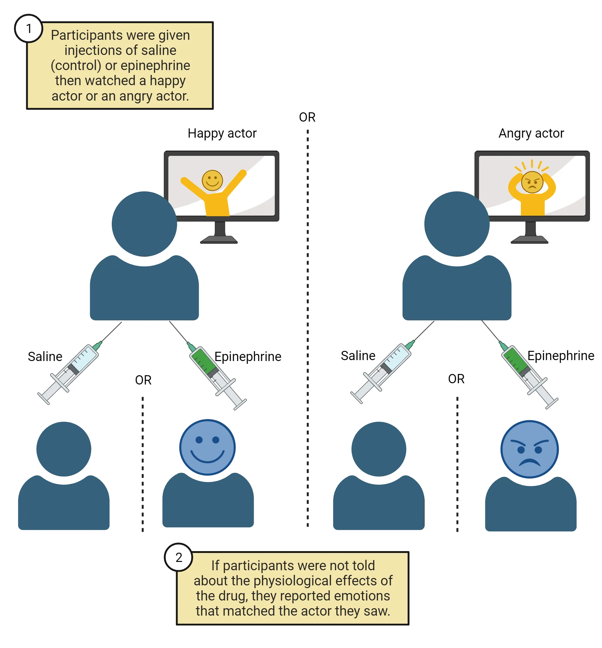 Cartoon of 2 humans watching a screen. Right human has happy actor on the screen. Left human has angry actor on the screen. Both humans get saline or epinephrine injection. At bottom, cartoons of emotional reaction of humans in different conditions is shown as silhouettes with emoticon faces.