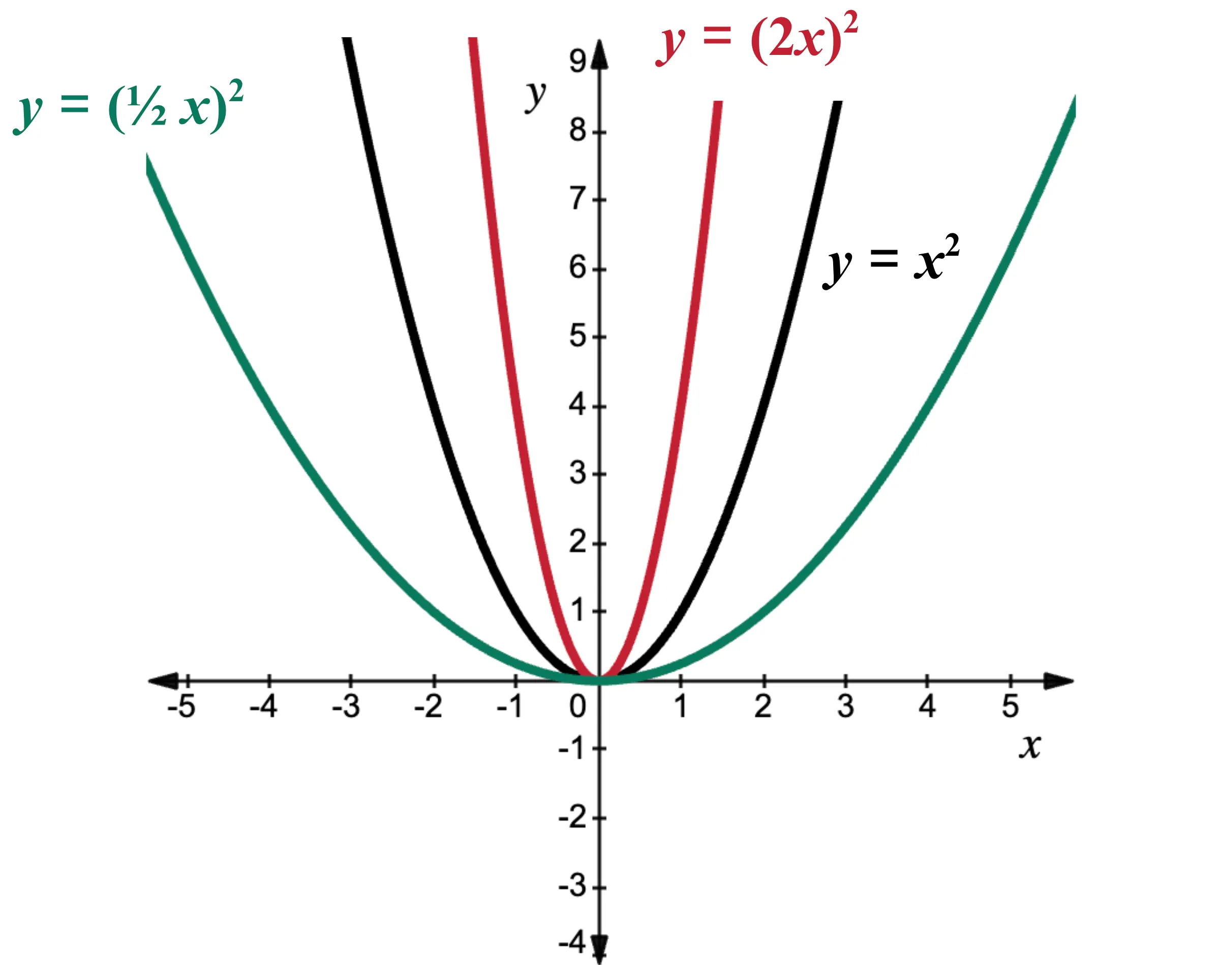Graph of the parent quadratic function is given in black on the coordinate plane. Functions that have been horizontally dilated are graphed and labeled as y equals one-half times x quantity squared and y equals two times x quantity squared.