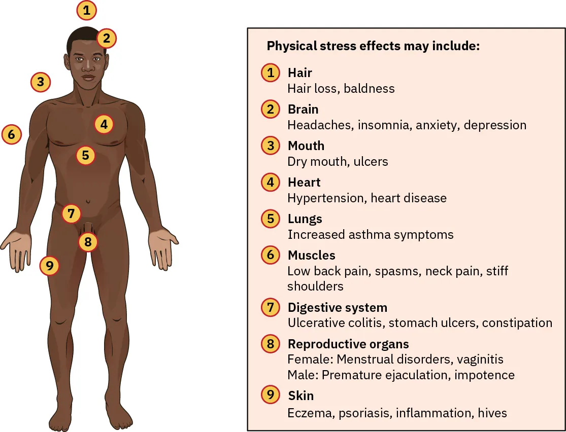 Illustration labeling and listing: Physical stress effects may include: 1. Hair (hair loss, baldness), 2. Brain (headaches, insomnia, anxiety, depression), 3. Mouth (dry mouth, ulcers), 4. Heart (hypertension, heart disease), 5. Lungs (increased asthma symptoms), 6. Muscles (low back pain, spasms, neck pain, stiff shoulders), 7. Digestive system (ulcerative colitis, stomach ulcers, constipation), 8. Reproductive organs (Female: menstrual disorders, vaginitis; Male: premature ejaculation, impotence), 9. Skin (eczema, psoriasis, inflammation, hives).