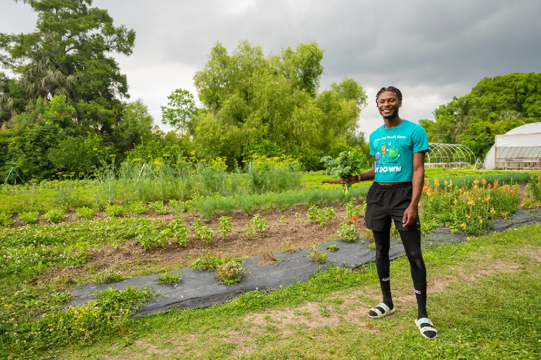 Clarence Webb stands in a garden planted in rows holding a small bunch of leafy greens.