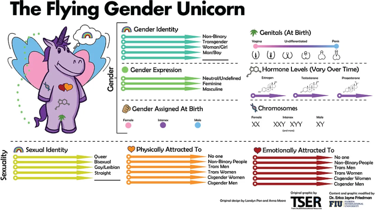 Illustration of The Flying Gender Unicorn. Gender information includes: Gender Identity (Genitals (at Birth)), Gender Expression (Hormones Levels (Vary over time)), Gender Assigned at Birth (Chromosomes). Sexuality information includes: Sexual Identity, Physically Attracted To, Emotionally Attracted To.