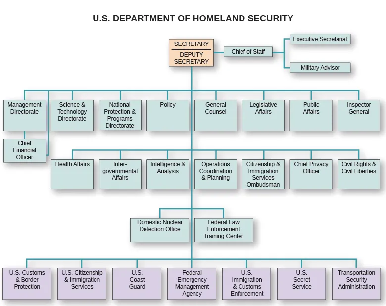 An organizational chart shows the structure of the U.S. Department of Homeland Security. The Secretary and Deputy Secretary are at the top; the Chief of Staff branches from them, and the Executive Secretariat and Military Advisor branch from the Chief of Staff. The second level includes the Management Directorate, from which the Chief Financial Officer branches; the Science and Technology Directorate; the National Protection and Programs Directorate; Policy; General Counsel; Legislative Affairs; Public Affairs; and Inspector General. The third level includes Health Affairs; Intergovernmental Affairs; Intelligence and Analysis; Operations Coordination and Planning; Citizenship and Immigration Services Ombudsman; Chief Privacy Officer; and Civil Rights and Civil Liberties. The fourth level includes the Domestic Nuclear Detection Office and the Federal Law Enforcement Training Center. The fifth level includes U.S. Customs and Border Protection; U.S. Citizenship and Immigration Services; the U.S. Coast Guard; the Federal Emergency Management Agency; U.S. Immigration and Customs Enforcement; the U.S. Secret Service; and the Transportation Security Administration.