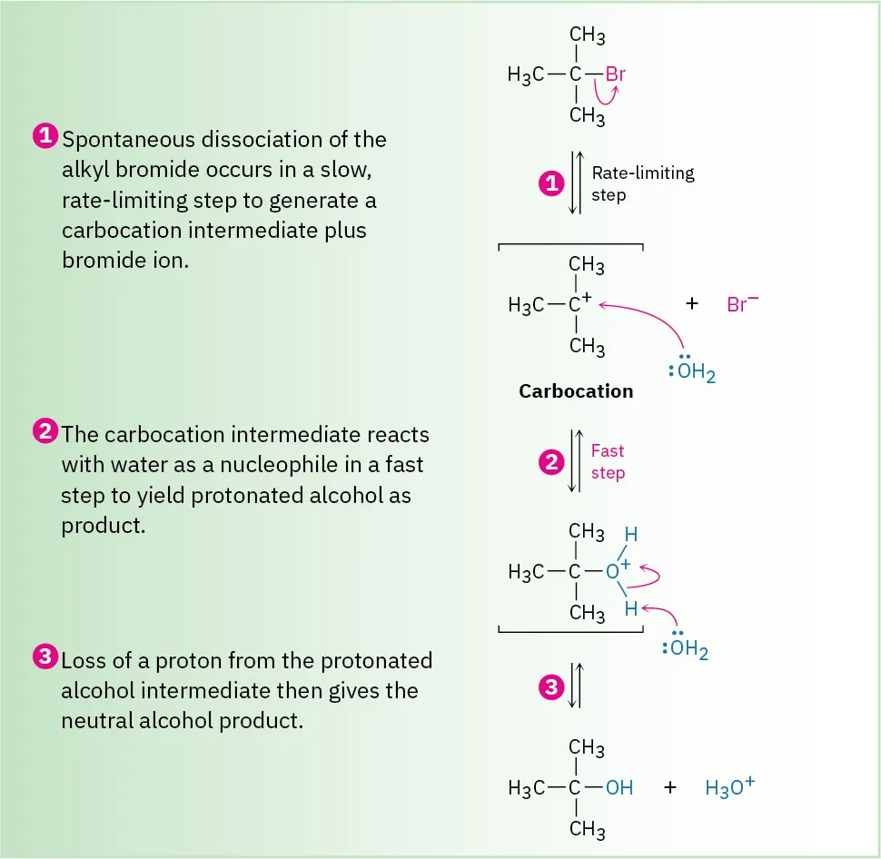 2-bromo-2-methylpropane undergoes a 3-step reaction to form neutral alcohol and hydronium by way of a carbocation. Step 1 forms carbocation, is rate-limiting; step 2 quenches carbocation, is fast.