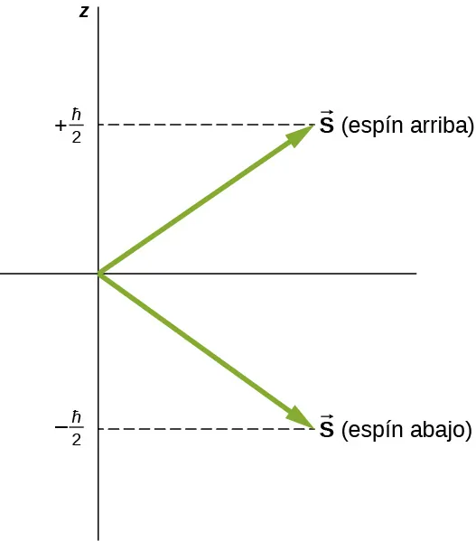 Los dos estados posibles de espín del electrón se ilustran como vectores de igual longitud, uno apuntando hacia arriba y hacia la derecha, representando el vector S espín ascendente, y el otro apuntando hacia abajo y hacia la derecha, representando el espín descendente. Los dos vectores forman el mismo ángulo con la horizontal. El espín ascendente tiene un componente z de más h barra sobre dos, y el espín descendente tiene un componente z de menos h barra sobre 2.
