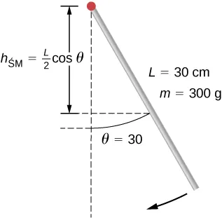 Rysunek pokazuje wahadło w kształcie pręta o masie 300 gramów i długości 30 centymetrów. Wahadło wychylone jest o kąt 30 stopni. 