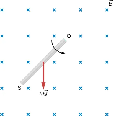 Rysunek przedstawia kwadratowy obszar, w którym istnieje jednorodne pole magnetyczne o indukcji B – prostopadłe do płaszczyzny tegoż rysunku. Pole to zwrócone jest do płaszczyzny rysunku. W obszarze tego pola, umieszczony jest ukośnie prostoliniowy pręt, który może się obracać wokół punktu O. Punkt O znajduje się w górnym końcu tegoż pręta. Dolny koniec pręta oznaczony jest S. Pręt odchylony jest w lewo, a kierunek jego ruchu wskazuje łukowa strzałka, zwrócona zgodnie z ruchem wskazówek zegara. W środku długości pręta, przyłożony jest pionowy wektor, oznaczony iloczynem mg. Wektor ten zwrócony jest ku dołowi rysunku.