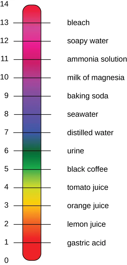 A pH scale. Description below.
