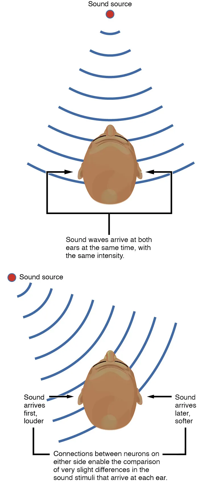 The top panel shows a person hearing a sound source that arrives in both his ears at the same time with the same intensity. The bottom panel shows a sound source that is not centered and arrives at different times with different intensities in each ear.