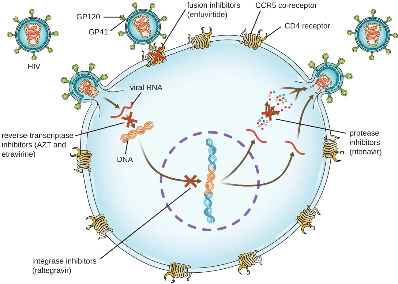 Antiretroviral therapy (ART). Description below.