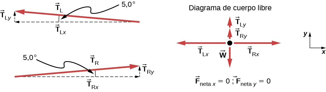 Hay tres figuras. La primera muestra TL, en un ángulo de 5 grados con la horizontal, que apunta a la izquierda. Dos flechas punteadas, TLx, que apunta directamente a la izquierda y TLy que apunta directamente hacia arriba, forman un triángulo rectángulo con TL. La segunda figura muestra TR, en un ángulo de 5 grados con la horizontal, que apunta a la derecha. Dos flechas punteadas, TRx, que apunta directamente a la derecha y TRy que apunta directamente hacia arriba, forman un triángulo rectángulo con TR. La tercera figura muestra un diagrama de cuerpo libre. TRx apunta a la derecha. TRy y TLy apuntan hacia arriba. TLx apunta a la izquierda. W apunta hacia abajo. Fx neta es igual a 0 y Fy neta es igual a 0.