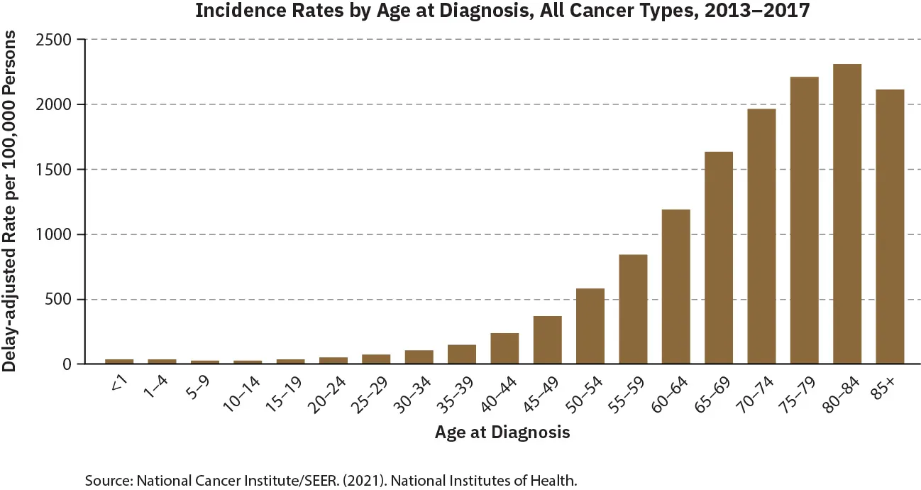 Bar graph of Incidence Rates by Age at Diagnosis, All Cancer Types, 2013-2017. x-axis labeled Age at Diagnosis in increments of 4, from <1, 1-4, up to 85+. y-axis labeled Delay-adjusted Rate per 100,000 Persons, in increments of 500, from 0 to 2,500. Incidence rates for cancer overall climb steadily as age increases, from fewer than 25 cases per 100,000 people in age groups under age 20, to about 350 per 100,000 people among those aged 45–49, to more than 1,000 per 100,000 people in age groups 60 years and older.