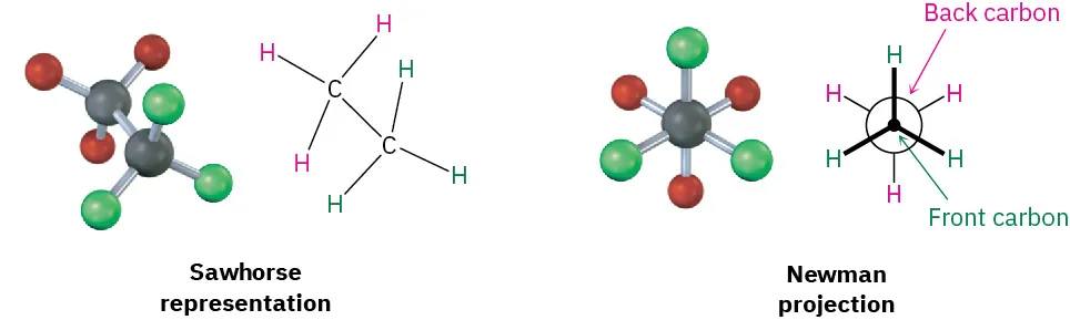 A sawhorse representation and a Newman projection of ethane are depicted.