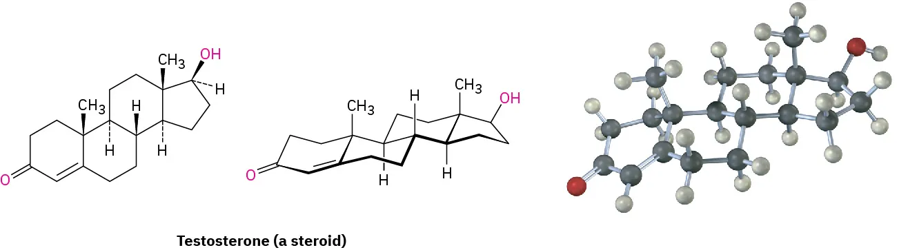The wedge-dash structure, bond-line structure, and ball and stick model of testosterone (a steroid).