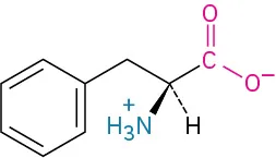 The structure of L-phenylalanine. It has a carbon linked to methylene linked to a benzene ring, carboxylate ion, dashed hydrogen, and wedged ammonia ion.