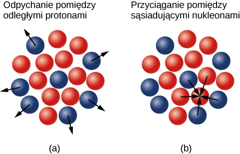 Rysunek a pokazuje skupisko małych czerwonych i niebieskich kul. W środku znajduje się niebieski proton, otoczony czerwonymi neutronami. Na peryferiach jest więcej protonów, na których umieszczono strzałki skierowane do zewnątrz. Rysunek b pokazuje ten sam klaster. Strzałki pokazują, że protony i neutrony są przyciągane do sąsiedniego neutronu.