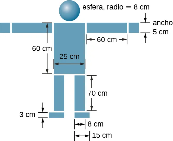 Se muestra un diagrama de varias masas dispuestas de manera que asemejan el modelo de una persona. En la parte superior hay una esfera de 8 cm de radio. Centrado bajo esta hay un rectángulo de 25 cm de ancho en horizontal y 60 cm de alto que luce como el cuerpo de la persona. A cada lado del rectángulo hay unos rectángulos de 60 cm en horizontal y 5 cm de alto que parecen los brazos extendidos. La parte superior de los brazos está alineada con la parte superior del cuerpo, y cada brazo se extiende desde los lados del cuerpo horizontalmente. En el extremo de cada brazo hay un cuadrado de 5 cm de ancho. Debajo del cuerpo están las piernas. Cada pierna mide 70 cm de alto y 8 cm de ancho. La parte superior de las piernas está alineada con la parte inferior del cuerpo. Los lados exteriores de las piernas están alineados con los lados del cuerpo. Debajo de cada pierna están los pies, que miden 3 cm de alto y 15 cm de ancho. El lado interno de cada pie se alinea con el lado interno de la pierna que está encima.