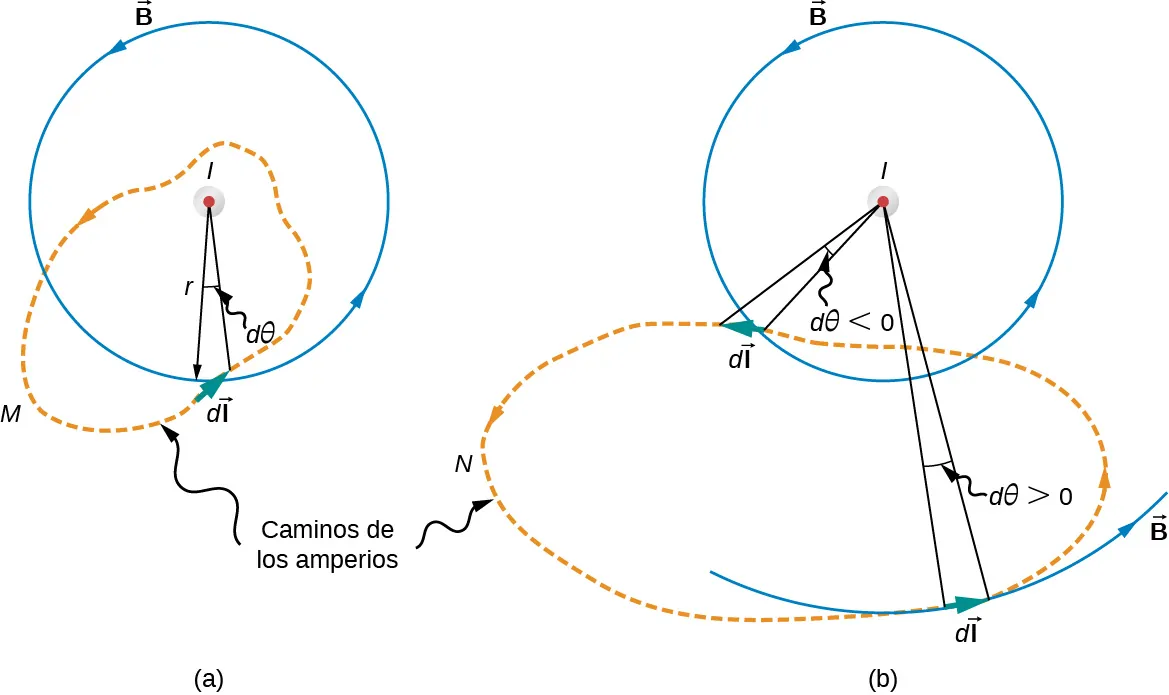 Las figuras A y B muestran un plano arbitrario perpendicular a un cable lineal infinito cuya corriente I se dirige hacia fuera de la página. Las líneas de campo magnético son círculos dirigidos en sentido contrario a las agujas del reloj y centrados en el cable. La trayectoria de amperios M demostrada en la figura A encierra el cable. La trayectoria de amperios N demostrada en la figura B no encierra el cable.