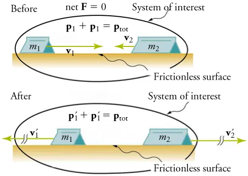 An illustration shows before and after diagrams of two carts moving toward each other on a frictionless surface. The cart on the left is labeled m one and the car on the right is labeled m two. Both diagrams are labeled System of Interest. In the before diagram, a velocity vector, v one, points from the cart on the left to the cart on the right. A second, shorter velocity vector, v two, points from the cart on the right to the cart on the left. Two equations are shown: p one plus p one equals p total and net F equals zero. In the after diagram, the velocity vectors are equal in magnitude and point away from the carts. They are labeled v one prime and v two prime. The equation p one prime plus p one prime equals p total is shown.