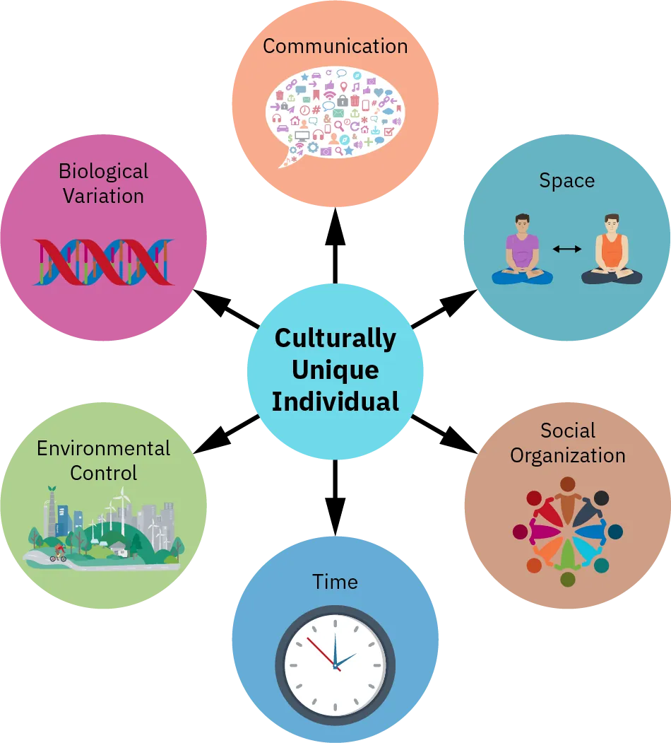 A diagram shows the six dimensions of the Giger and Davidhazer Transcultural Assessment model that forms a culturally unique individual. These dimensions are communication, space, social organization, time, environmental control, and biological variation.