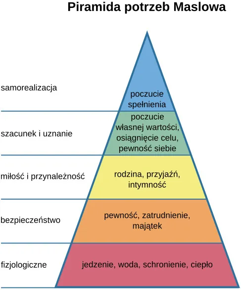 Piramida potrzeb Maslowa Samorealizacja: poczucie spełnienia Szacunek i uznanie: poczucie własnej wartości, osiągnięcie celu, pewność siebie Miłość i przynależność: rodzina, przyjaźń, intymność Bezpieczeństwo: pewność, zatrudnienie, majątek Fizjologiczne: jedzenie, woda, schronienie, ciepło 