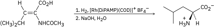 Ethene with H (up) and isopropyl on left, and carboxyl (up) and N with acetyl on right reacts with hydrogen and rhodium catalyst, then aqueous hydroxide, forming (2S)-2-amino-4-methylpentanoic acid.