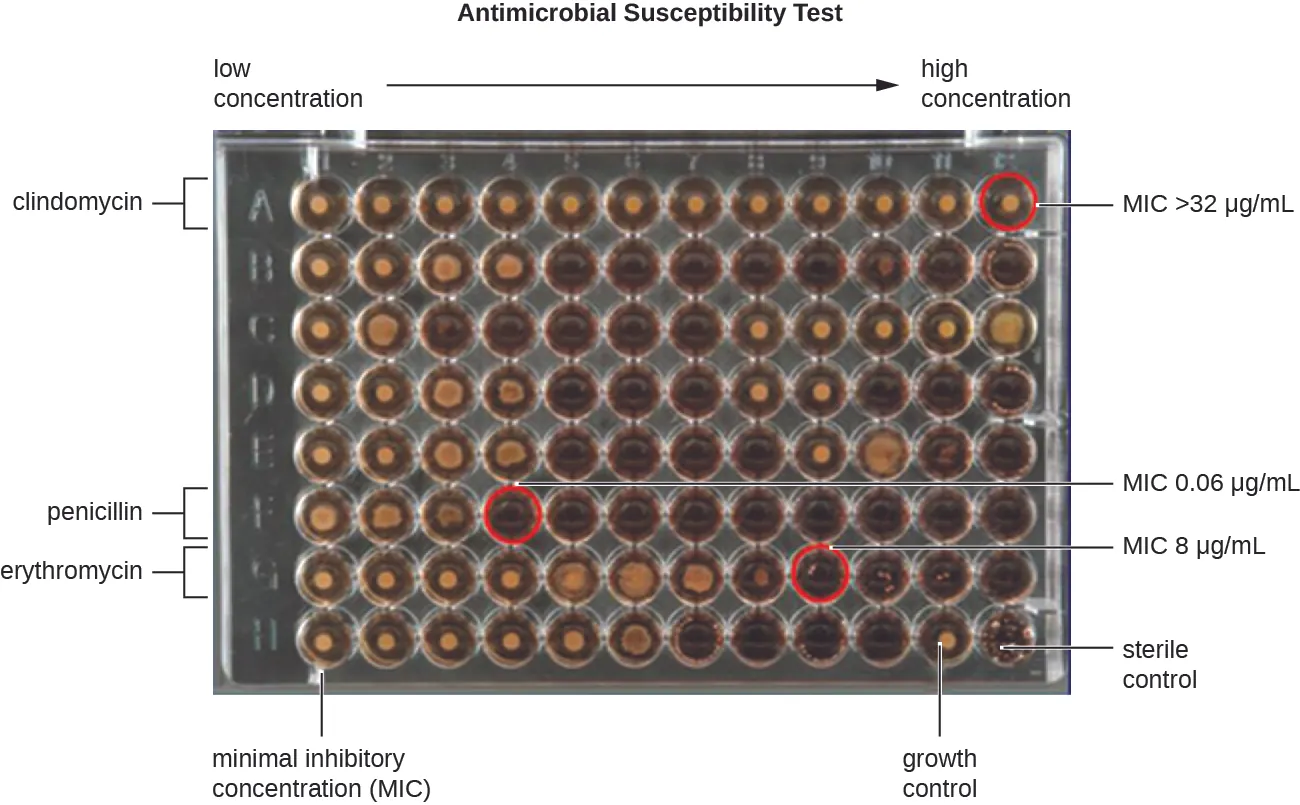 A microdilution tray. Description below.
