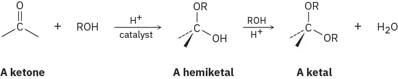A carbonyl and R O H react in acid catalyst to produce a hemiacetal; further reaction produces an acetal and water.