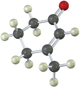 The ball-and-stick model of 3-methyl-2-cyclohexen-1-one.