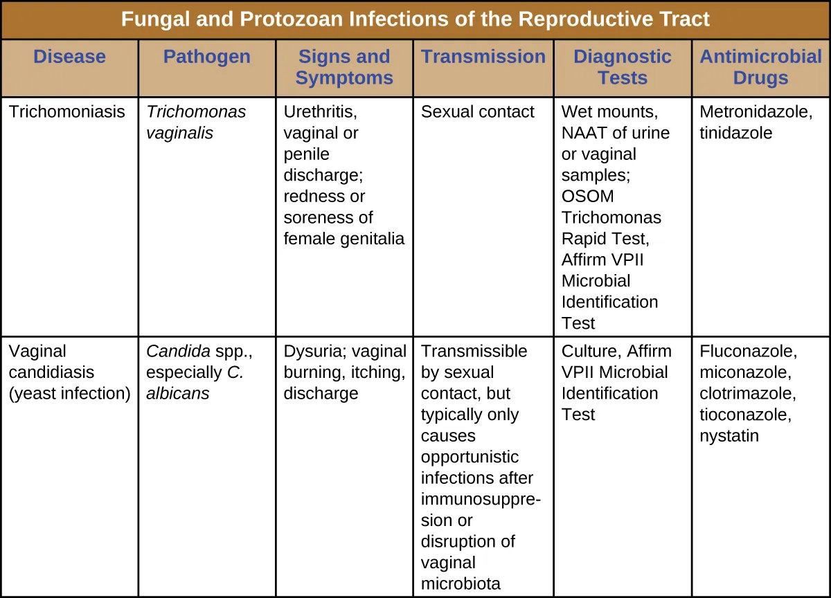 Table titled: Fungal and Protozoan Infections of the Reproductive Tract. Description below.