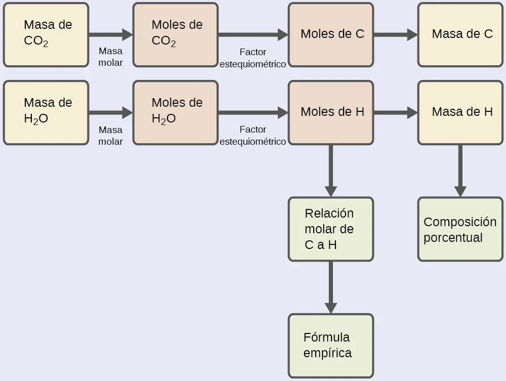Esta figura muestra dos diagramas de flujo. La primera fila es un diagrama de flujo único. En esta fila, un rectángulo a la izquierda está sombreado en amarillo y está etiquetado como "Masa de C O subíndice 2". A este rectángulo le sigue una flecha que señala a la derecha un segundo rectángulo. La flecha está etiquetada como "Masa molar". El segundo rectángulo está sombreado en rosa y está etiquetado como "Moles de C O subíndice 2". A este rectángulo le sigue una flecha que señala a la derecha un tercer rectángulo. La flecha está etiquetada como "Factor estequiométrico". El tercer rectángulo está sombreado en rosa y está etiquetado como "Moles de C". A este rectángulo le sigue una flecha con la leyenda "Masa molar" que apunta a la derecha a un cuarto rectángulo. El cuarto rectángulo está sombreado en amarillo y está etiquetado como "Masa de C". A continuación, un segundo diagrama de flujo. Comienza con un rectángulo sombreado de color amarillo a la izquierda que está etiquetado como "Masa de H subíndice 2 O". A este rectángulo le sigue una flecha etiquetada como "Masa molar", que apunta a la derecha a un segundo rectángulo. El segundo rectángulo está sombreado en rosa y está etiquetado como "Moles de H subíndice 2 O". A este rectángulo le sigue una flecha que señala a la derecha un tercer rectángulo. La flecha está etiquetada como "Factor estequiométrico". El tercer rectángulo está sombreado en rosa y está etiquetado como "Moles de H". A este rectángulo le sigue, a la derecha, una flecha con la leyenda "Masa molar", que señala un cuarto rectángulo. El cuarto rectángulo está sombreado en amarillo y lleva la etiqueta "Masa de H". Una flecha etiquetada como "Masa de la muestra" apunta debajo de este rectángulo a un rectángulo sombreado de color verde. Este rectángulo está etiquetado como "Composición porcentual". Una flecha se extiende por debajo del rectángulo rosa etiquetado como "Moles de H" hasta un rectángulo sombreado en verde etiquetado como "Cociente molar de C a H". Debajo de este rectángulo, una flecha se extiende hasta un segundo rectángulo sombreado en verde que está etiquetado como "Fórmula empírica".