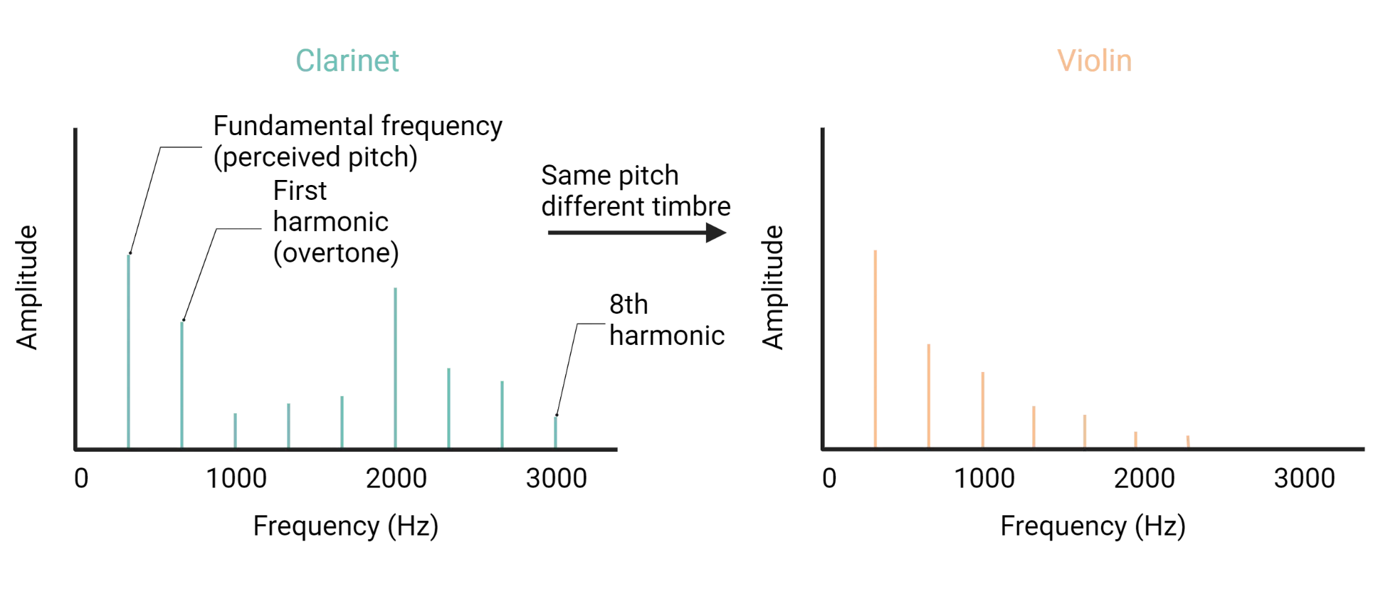 Left: Line graph showing frequency vs amplitude lines of clarinet. Right: Same but for a violin. Vertical lines show the same frequencies of sound but different amplitudes at each frequency for each instrument.