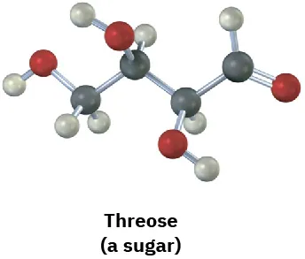 The ball-and-stick model of threose (a sugar) where gray, black, and red spheres represent hydrogen, carbon, and oxygen, respectively.